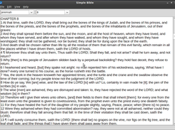 Simple Bible running on Linux Mint