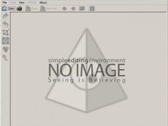 Simple Editing Environment initial