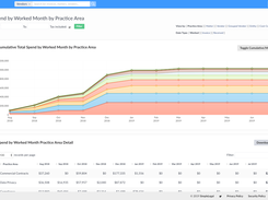 Your monthly spend by matter, practice area, vendor, and more!