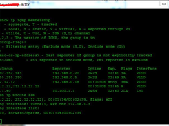 CISCO Router shows SSM at work