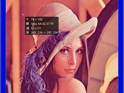 Fragment Info Popup