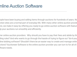 Auctioneer Software Screenshot 1