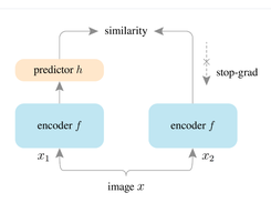 SimSiam Screenshot 1