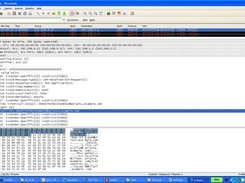 Example output CLF file viewed in Wireshark