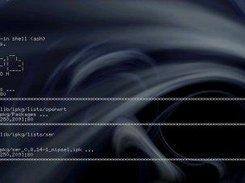 installation of the ser package using 'ipkg install ser'