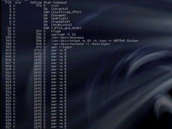 starting 'ser -m 5' and checking processes with 'ps'