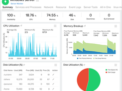 Summary page for a Windows server monitor