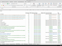 Excel Report