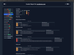 Audit Report - Accessibility Analysis