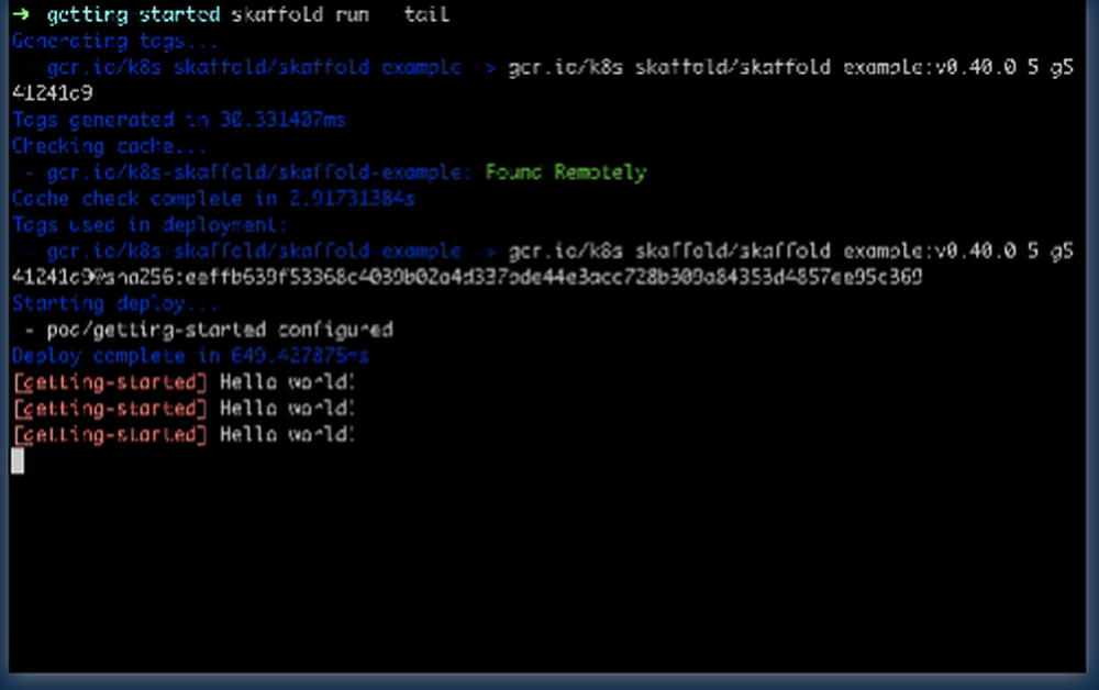 Skaffold Screenshot 1
