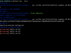 Skaffold Screenshot 1