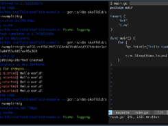 Skaffold Screenshot 1