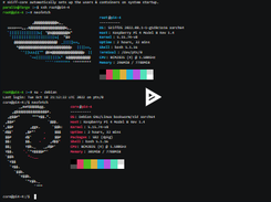 SkiffOS Screenshot 1
