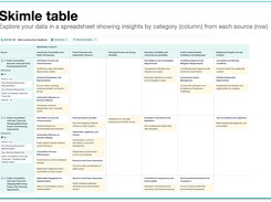 Explore the Skimle table