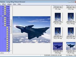 SkySee Main Form