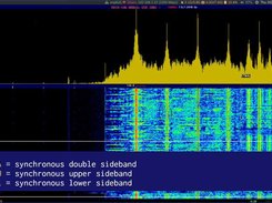 SuperSDR has synchronous demodulators for AM radio.