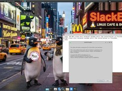 Refracta Installer started 260325