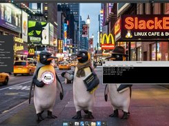 The Desktop for user 260325