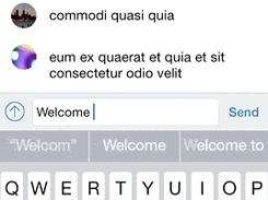 SlackTextViewController Screenshot 1