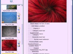 slagboom with directory browser and image summary pane