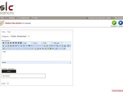 Admin articles form