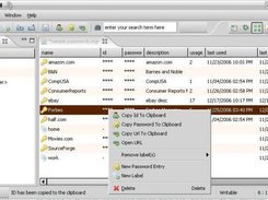 Main password entry list window on Suse 10.1 (v0.5)