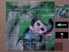 Puzzle 6x6 antes de desordenarse