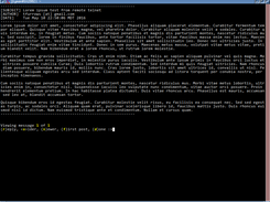 Sample bbs message view