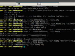 Terminal cli example