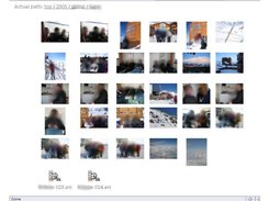 Overview showing thumbnails. Notice movie icons at bottom.