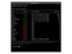 slpkg repo-info