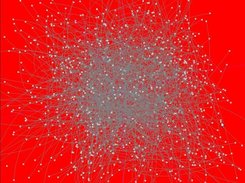 lots of random curves