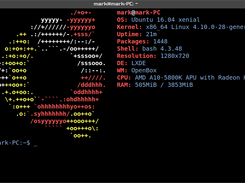 Terminal with Screenfetch