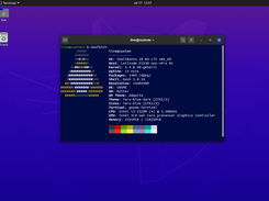 Terminal in SmallBuntu Live
