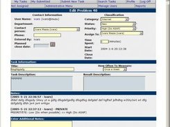 Task / problem window. This is where all details are shown.