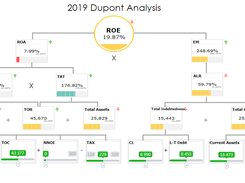 DuPont Analysis