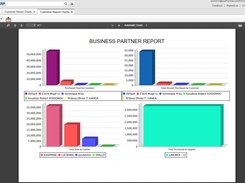 Graphical reports