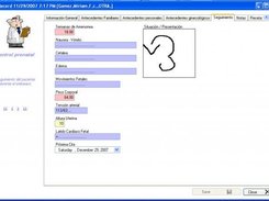 Expedient Window showing the designed format