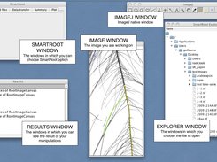 SmartRoot windows