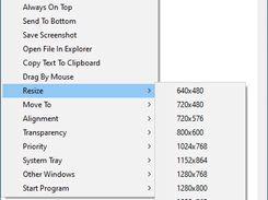 SmartSystemMenu (Resize)