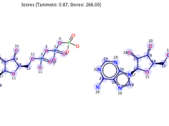 sh SMSD -Q MOL -q Data/ATP.mol -T MOL -t Data/ADP.mol -O SMI -o -- -r -z -b -g