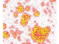 An animation frame from a simulation