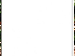 01 Snapshot of SnakeCharmer running on my web-server (PNG).