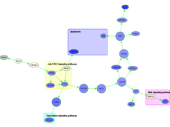 First output of the plugin