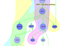  Metalayer in hierarchical layout 