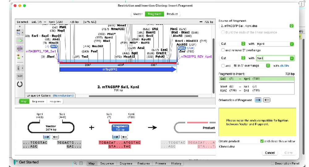 SnapGene Screenshot 1
