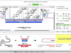 SnapGene Screenshot 1