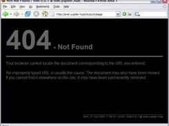 The default error page for the smarty controller