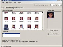 The list of detected faces in icon view