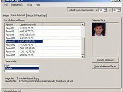 The list of detected faces in details view